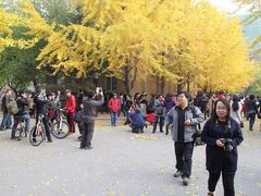 -辽宁大学(崇山校区)
