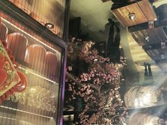 -老板恋上鱼(高新万达店)