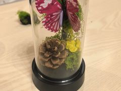 -大连金石滩绿发温泉假日酒店