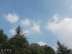 -重庆彩云湖湿地公园