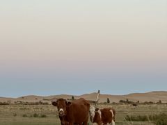 -亿利库布其七星湖沙漠生态旅游区