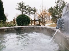 -青岛海泉湾度假区温泉
