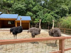 -栾川竹海野生动物园