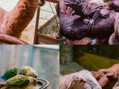 -正佳雨林生态植物园