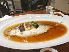 -乔家栅(襄阳南路店)