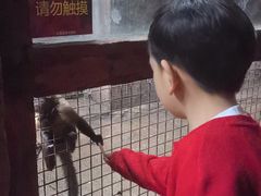 -长鹿旅游休博园