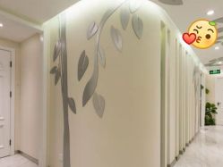 -健身堂科技美肌SPA