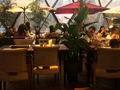 露天位-巴别塔法餐舍(朝阳店)