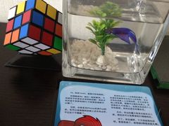 -桔子酒店(天津五大道店)