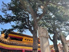 -五台山风景名胜区