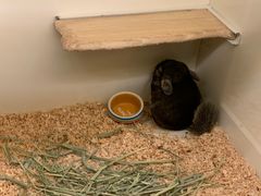 -龙猫仔乐园(惠福东路店)