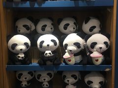 -熊猫屋(宽窄巷子景区店)