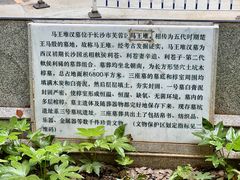 -马王堆汉墓遗址