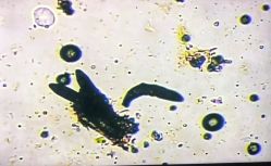 -杨丹国际美学肌研所