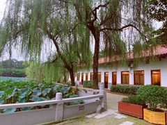 -巴山·烤全羊(高新总店)