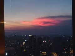 -金轩中餐厅 Jin Xuan(浦东丽思卡尔顿酒店)