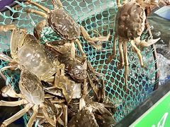 -阳澄湖大闸蟹·琼灵阁牌品牌连锁(吴中总店)