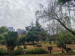 -堤角公园