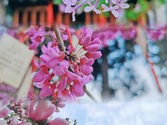 -西安市广仁寺