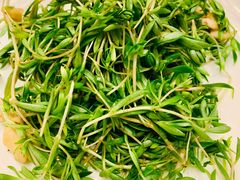 珍珠菜-老城南食府(宣武门东大街店)