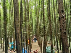 -山王坪喀斯特国家生态公园