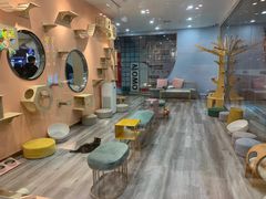 -BABIT巴比特宠物(MOMOPARK店)