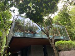 -七仙岭君澜度假酒店·桃源小馆中餐厅