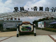 -紫颐香薰山谷景区