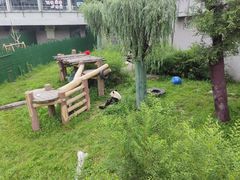 -沈阳森林动物园