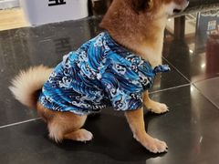-时尚天河商业广场