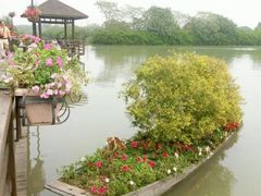 -大湾区中央湿地公园