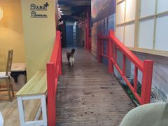 -白兔子密室(长寿路店)