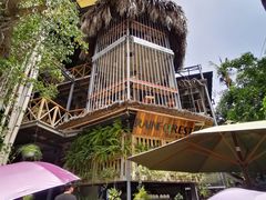 -Rainforest