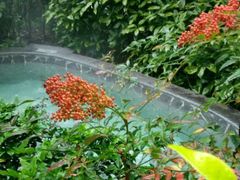 -黄山温泉国际旅游度假区