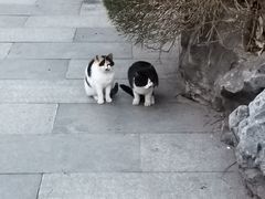 -南京双门楼宾馆(盐仓桥地铁站阅江楼店)