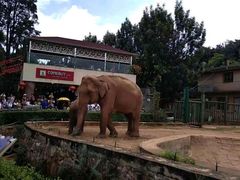 -昆明动物园
