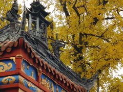 -金堂县云顶石城风景区