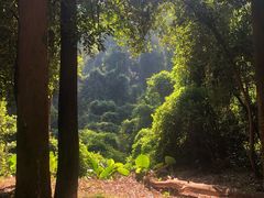-火炉山森林公园