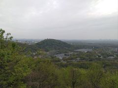 -上海佘山国家森林公园西佘山园