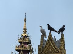 -洛阳白马寺