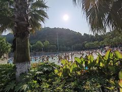 -重庆海昌加勒比海水世界