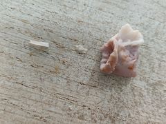 -荣记拉肠(丽江店)