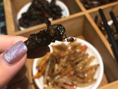 -昆虫窝子·特色云南菜(拓东路总店)