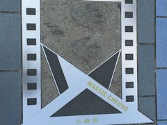 -星光大道