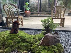 -Metal hands·铁手咖啡