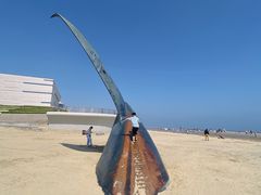 -烟台金沙滩海滨公园