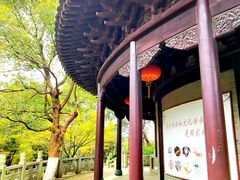 -八大山人梅湖景区