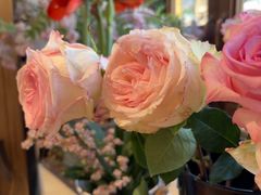 -小喜客·云南特色菜(纳西庭院店)