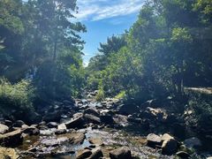 -广州白江湖森林公园