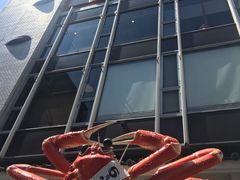 -蟹道乐(道顿堀本店)